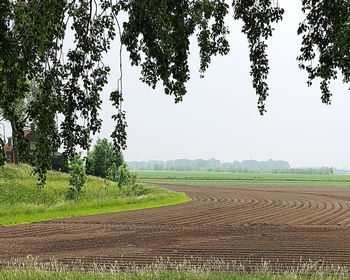 Scenic view of field against sky