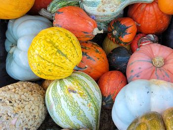 Full frame shot of pumpkins