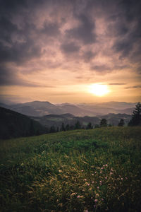 Scenic view of field against sky during sunset