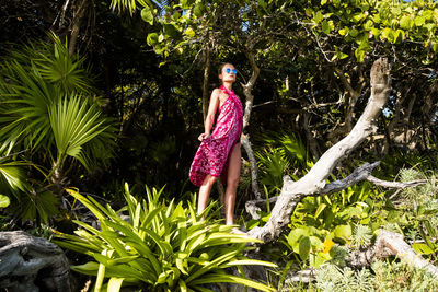 Low angle view of child on tree