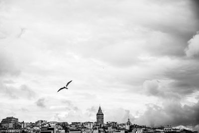 Seagull flying over city against cloudy sky