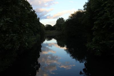 Reflection of trees in river against sky