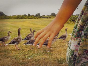 Close-up of hands on tree against sky