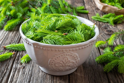 High angle view of plants in bowl on table