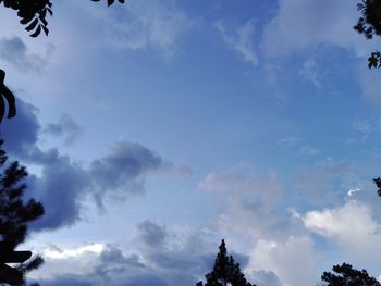 Low angle view of silhouette trees against sky