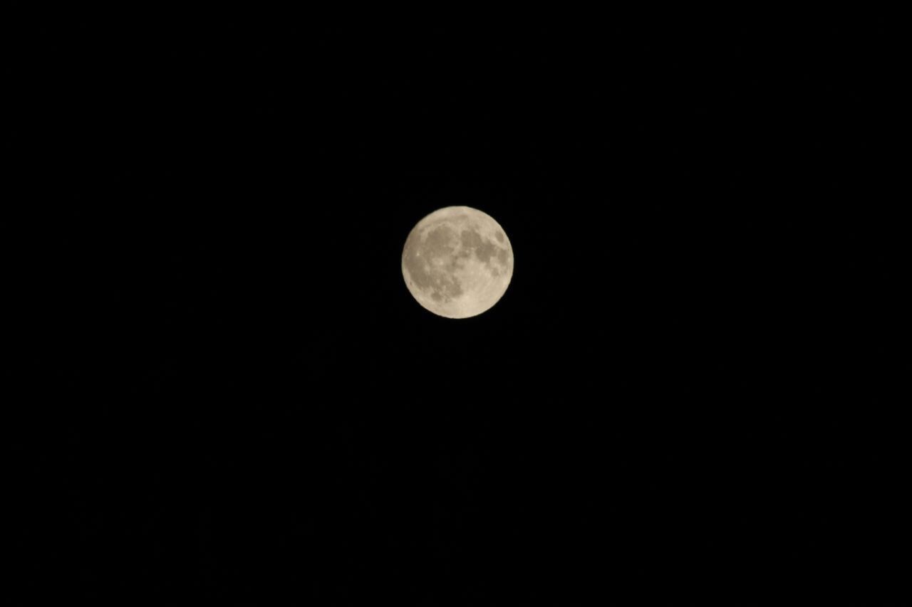 moon, astronomy, night, moon surface, planetary moon, nature, beauty in nature, copy space, scenics, tranquility, tranquil scene, no people, space exploration, clear sky, outdoors, half moon, space, sky