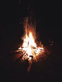 Bonfire at night