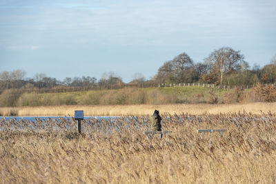 Sitting man in the distance observing birds at bower's lake in leeds, uk