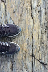 Low section of person standing on wood