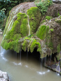 Scenic view of waterfall