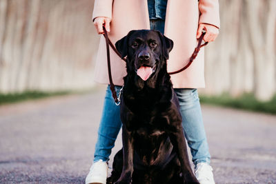 Midsection of woman holding dog