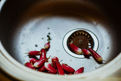 High angle view of red radish in the sink