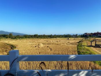 Scenic view of field against clear blue sky