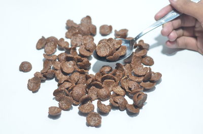High angle view of person preparing food against white background