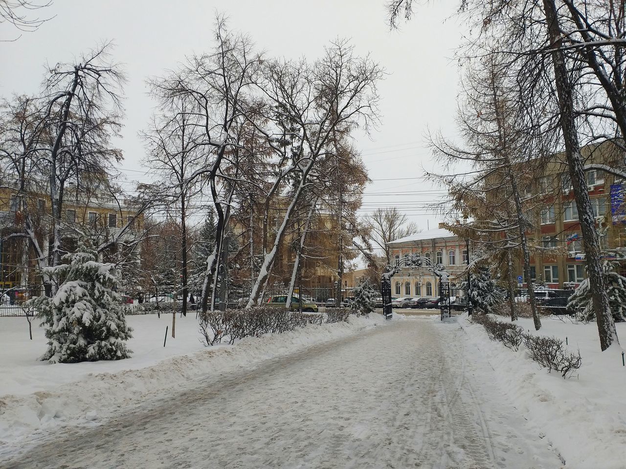 BARE TREES BY SNOW COVERED STREET AGAINST SKY