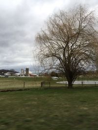 Bare tree in front of built structure against sky