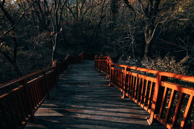 Wooden footbridge amidst trees in forest