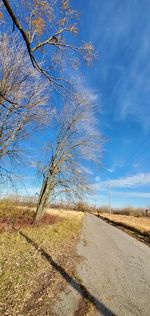 Road by trees on field against blue sky