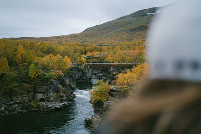 Scenic view of river amidst trees against sky during autumn