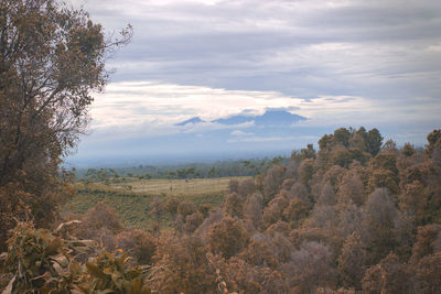 Scenic view of landscape against sky