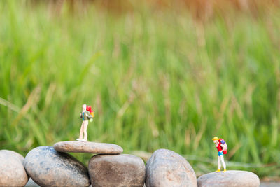 Close-up of figurines by field on stone
