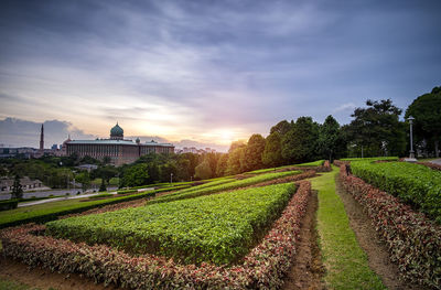 Scenic view of field against cloudy sky