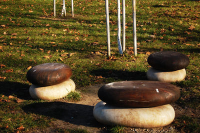 Trees on grassy field