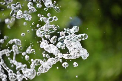 Close-up of water drops on plant