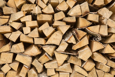 Full frame shot of wooden logs in forest