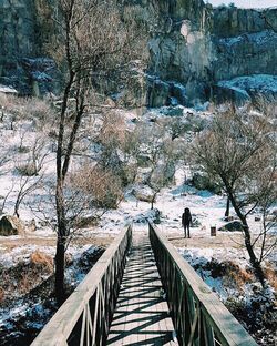 Snow covered landscape