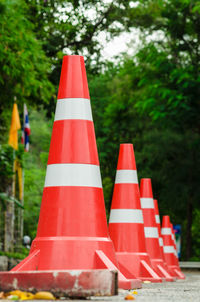 Close-up of traffic cones against trees