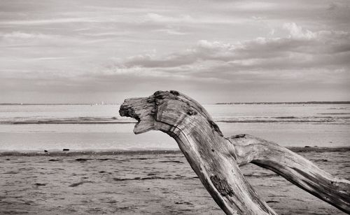 Wooden posts on beach against sky