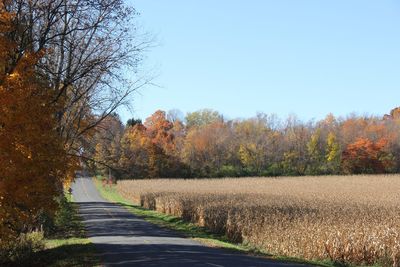 Road amidst field against clear sky during autumn