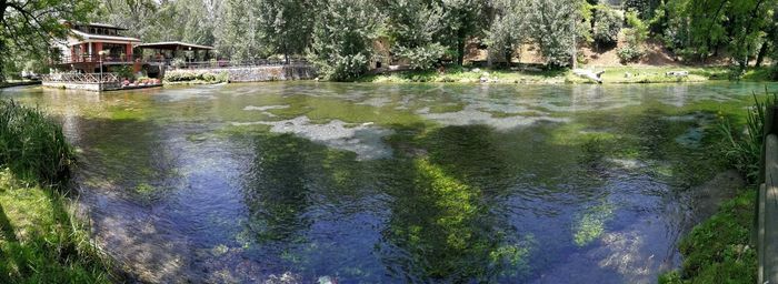 Scenic view of river by trees