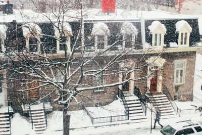 View of bare tree in snow