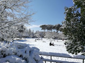 Trees on snow covered landscape against sky