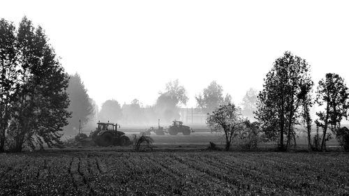 Trees on field against clear sky
