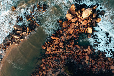 High angle view of leaves floating on beach