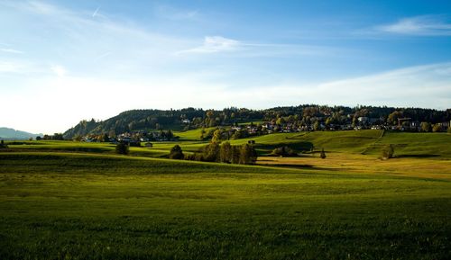 Houses on field against sky