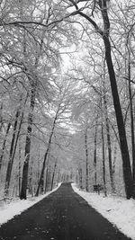 Road amidst bare trees in winter