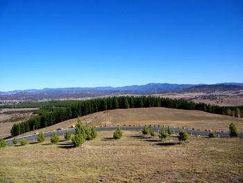 Scenic view of field against clear blue sky