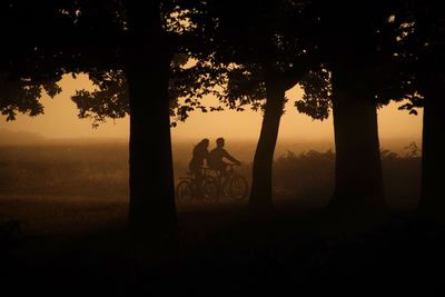 Silhouette man by tree against sky during sunset