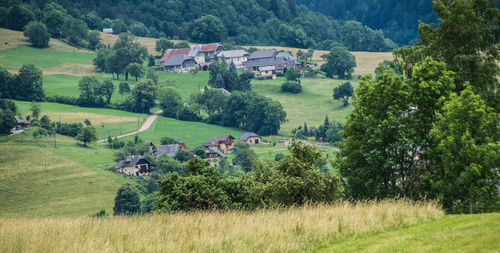 Scenic view of agricultural field by houses and trees
