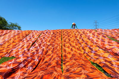 Low angle view of man covering plants with textile against clear sky