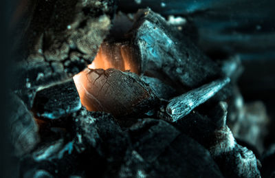 Close-up of bonfire on wooden log