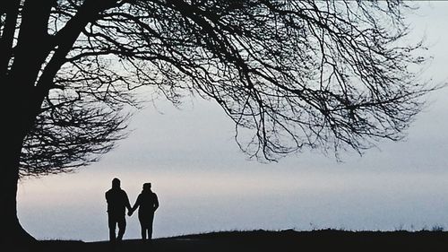 Silhouette of bare tree at sunset