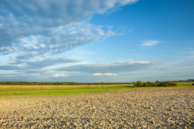 Scenic view of agricultural field against sky