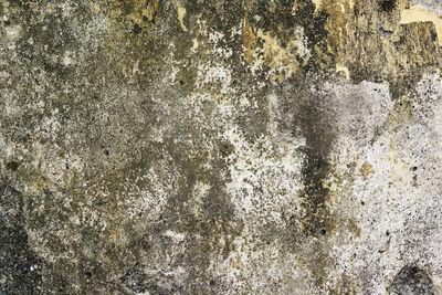 Full frame shot of wall