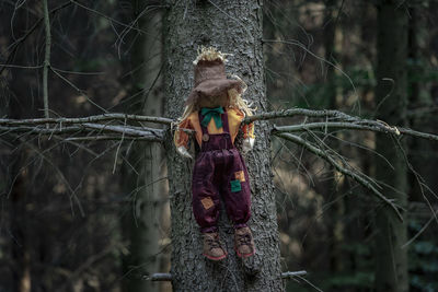 Stuffed toy on tree in forest