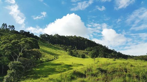 Scenic view of landscape against cloudy sky
